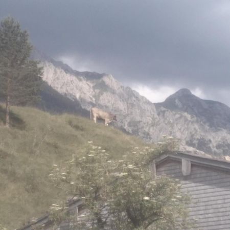 Villa Holzhaus Besler Bad Hindelang Esterno foto