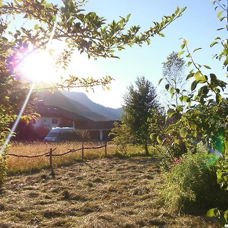 Villa Holzhaus Besler Bad Hindelang Esterno foto