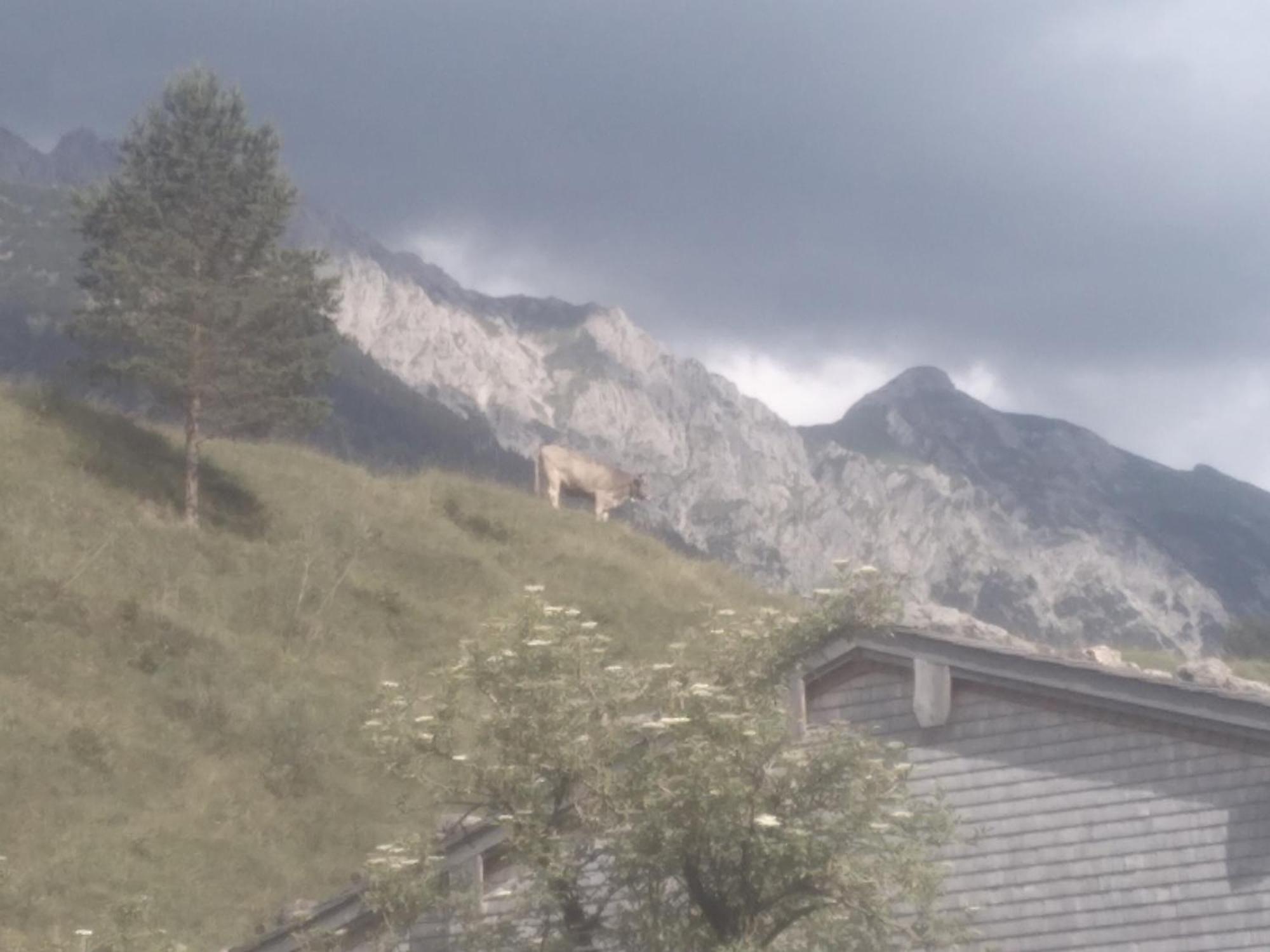 Villa Holzhaus Besler Bad Hindelang Esterno foto