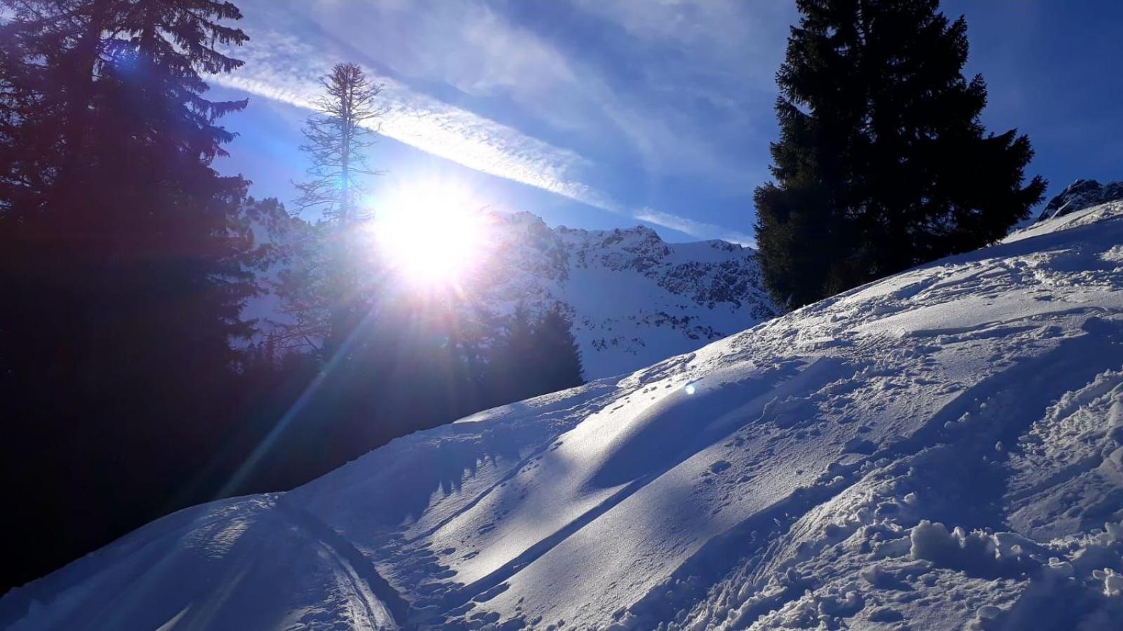 Villa Holzhaus Besler Bad Hindelang Esterno foto